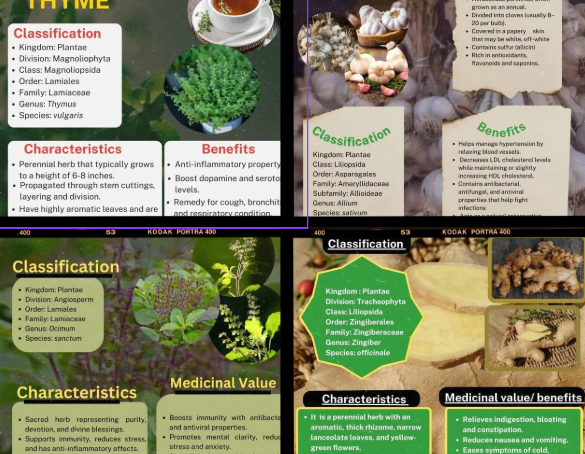 Know The Medicinal Plant"