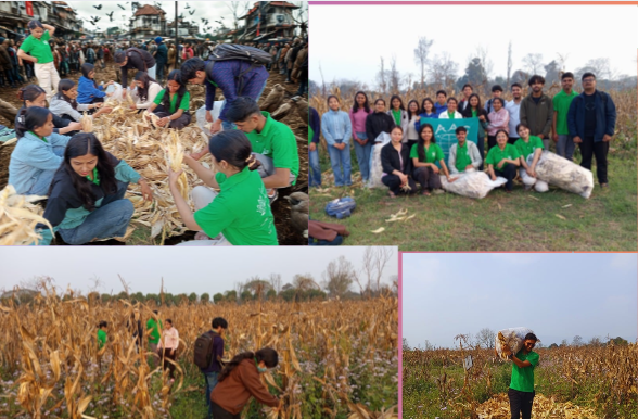 Maize Husk Collection-Trash to Treasure Phase II