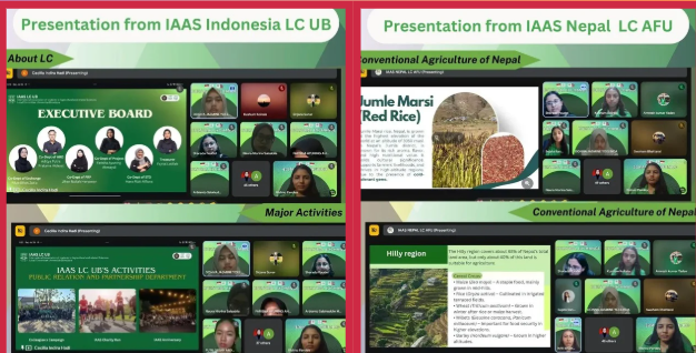 IAAS Interactive Exchange