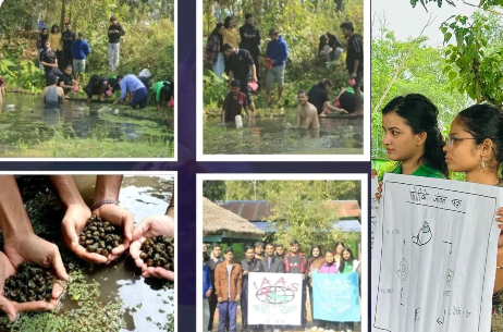 Heliciculture: A Hope to Be Flourished