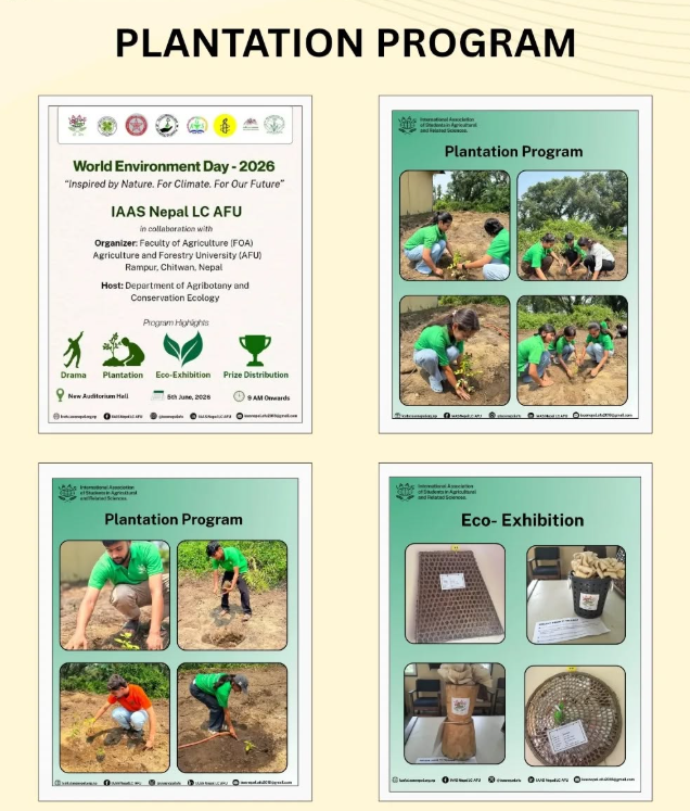 Program on World Environment Day 2026